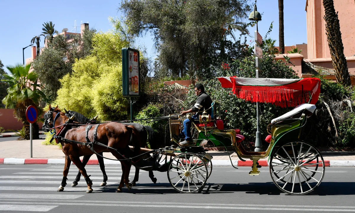 Horse Carriage Ride (Calèche) — Marrakech Tour