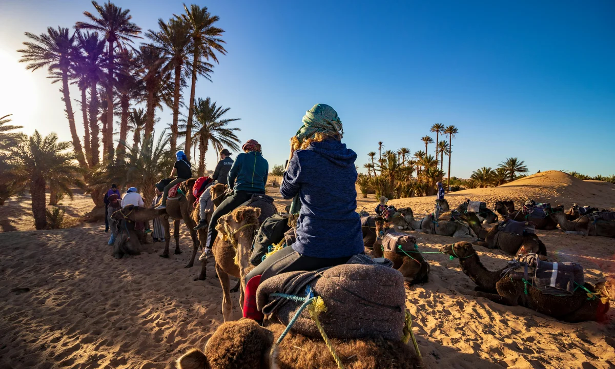 Camel Ride in the Palmeraie