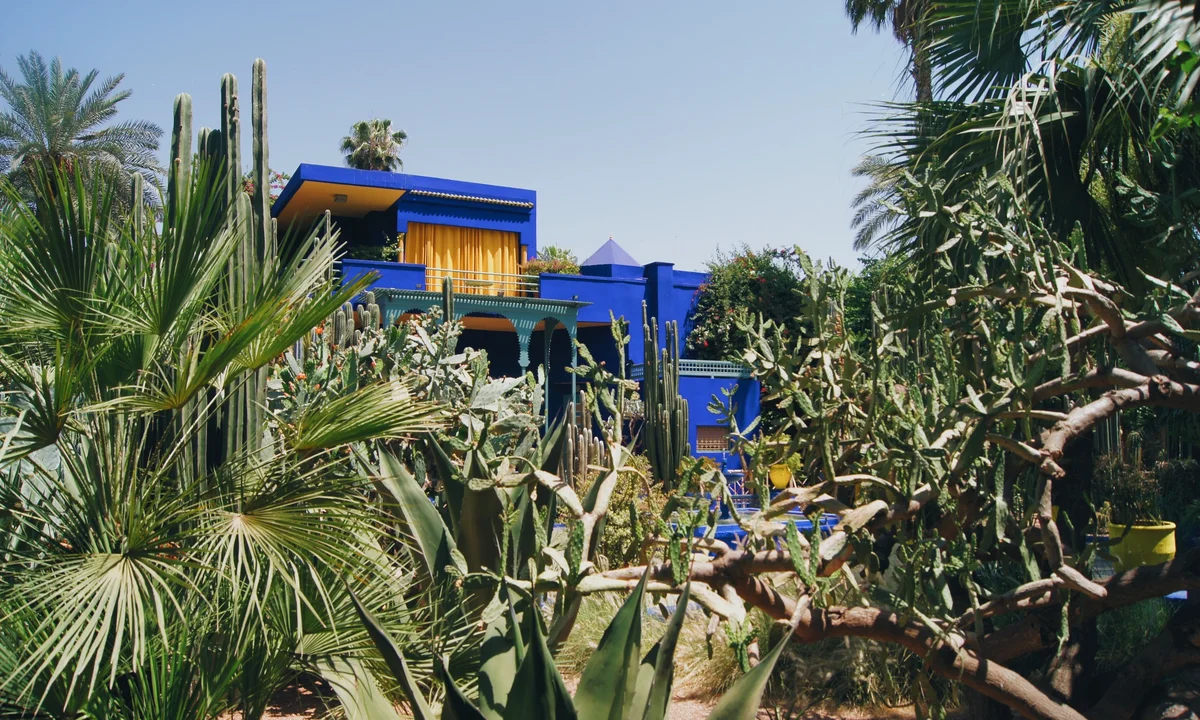 Majorelle Garden & Yves Saint Laurent Museum